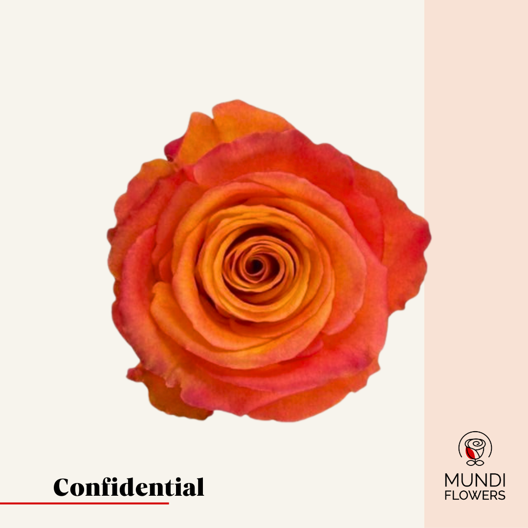 Confidential