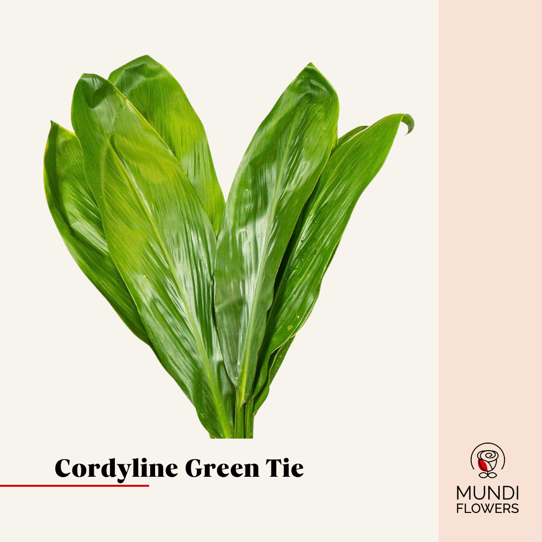Green Tie Medium