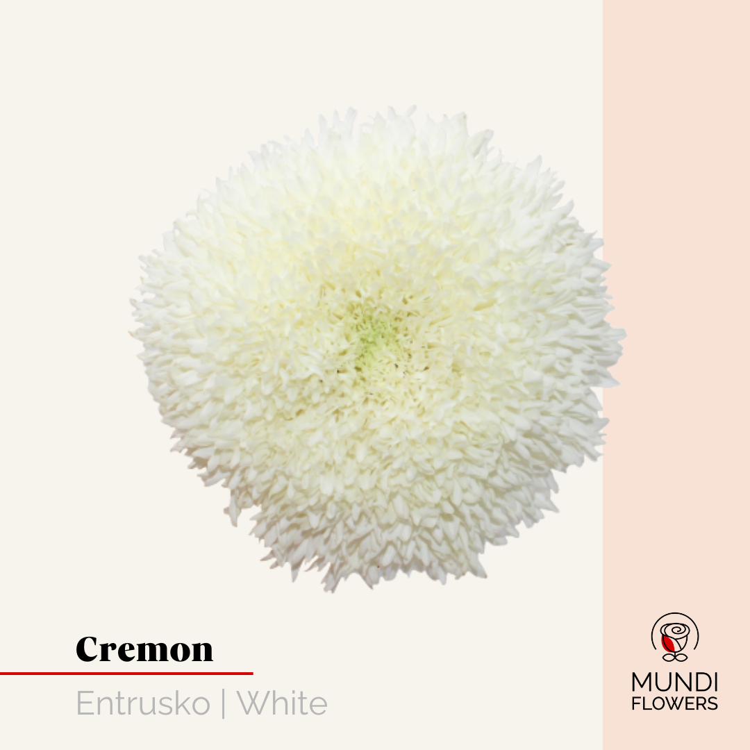 Cremon