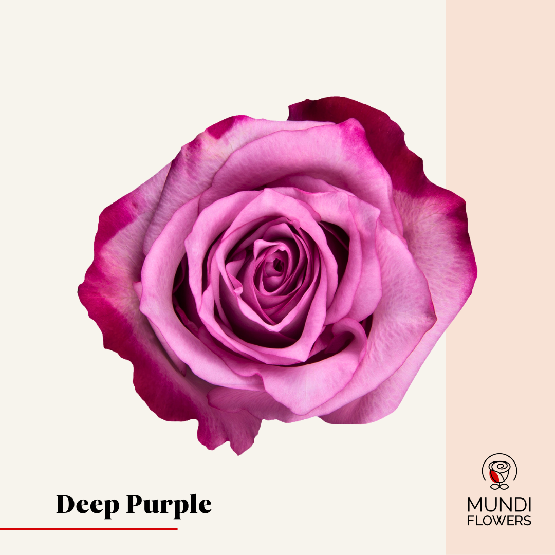 Deep Purple