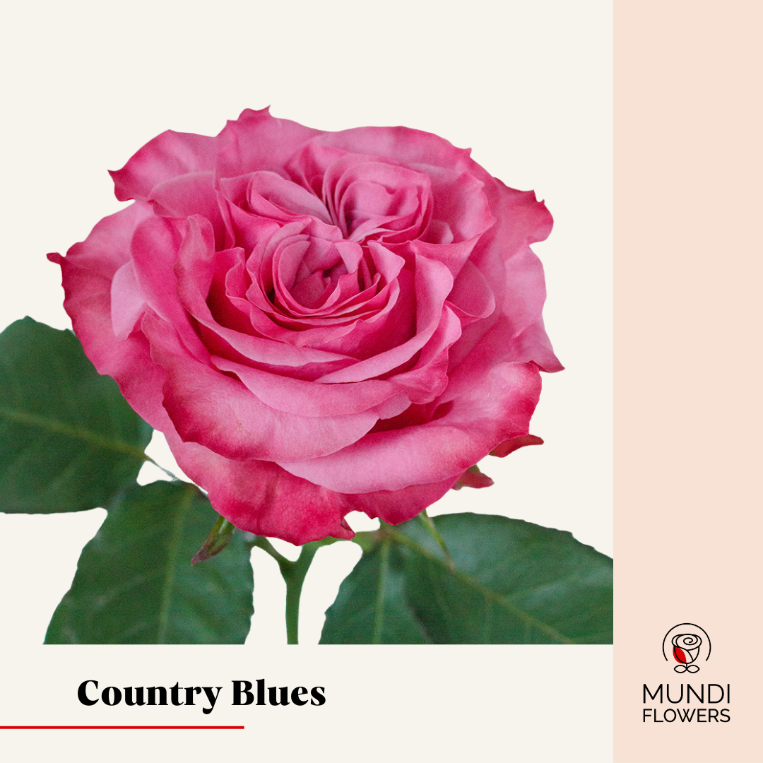 Country Blues