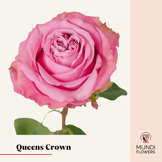Queen'S Crown