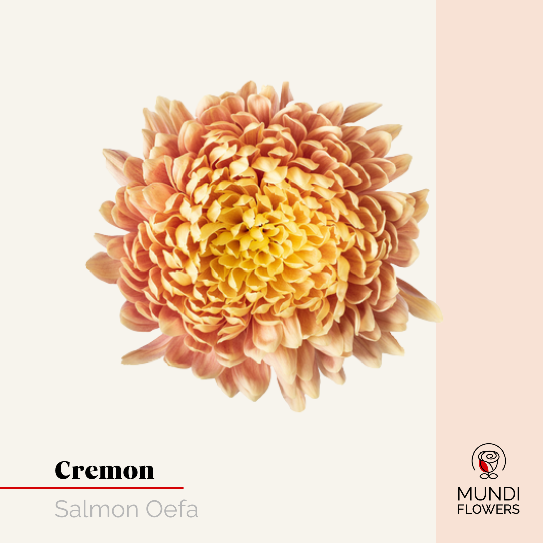 Cremon