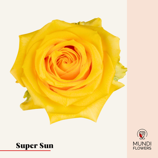 Super Sun