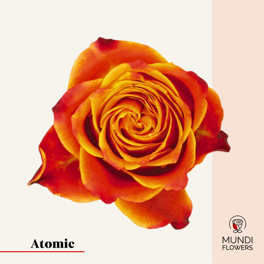 Atomic