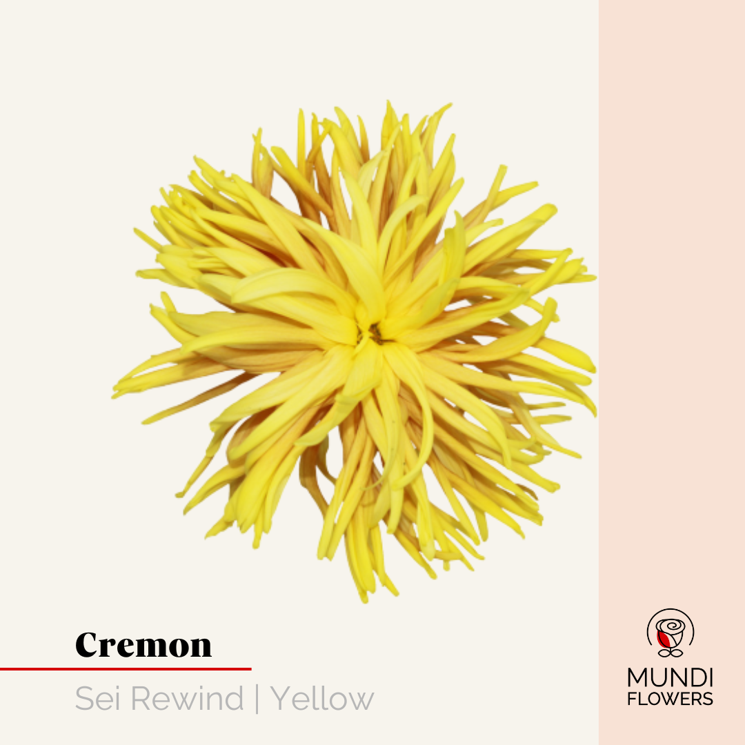 Cremon