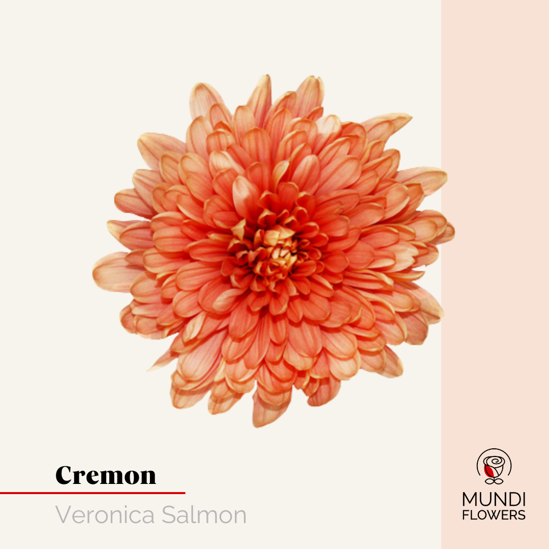 Cremon