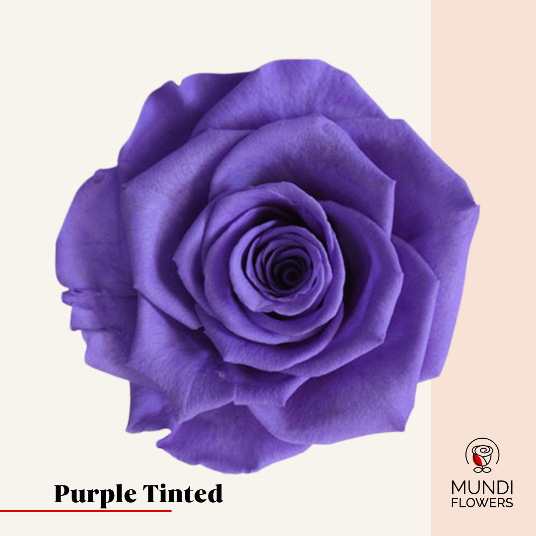 Tinted Roses