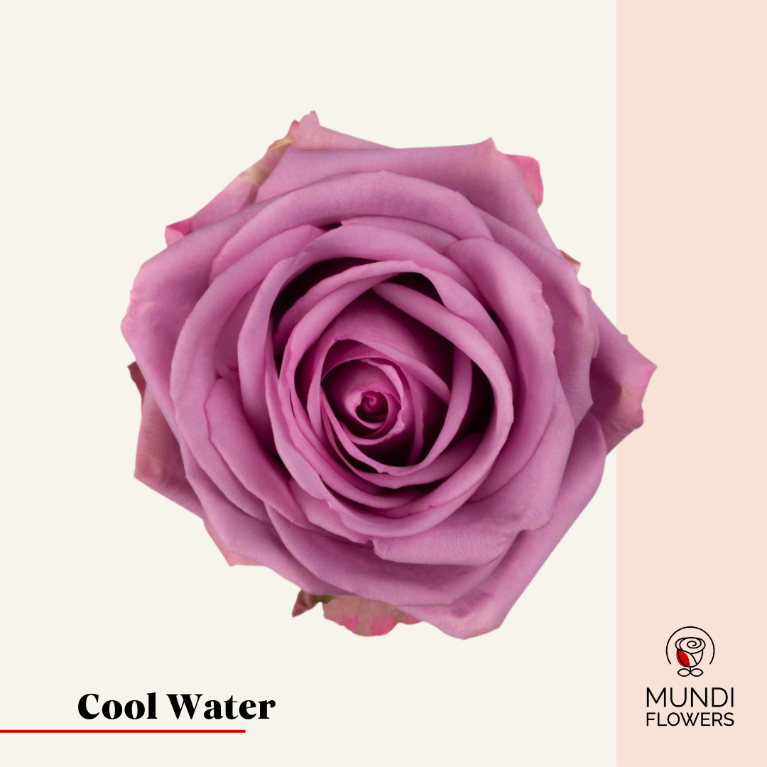 Cool Water