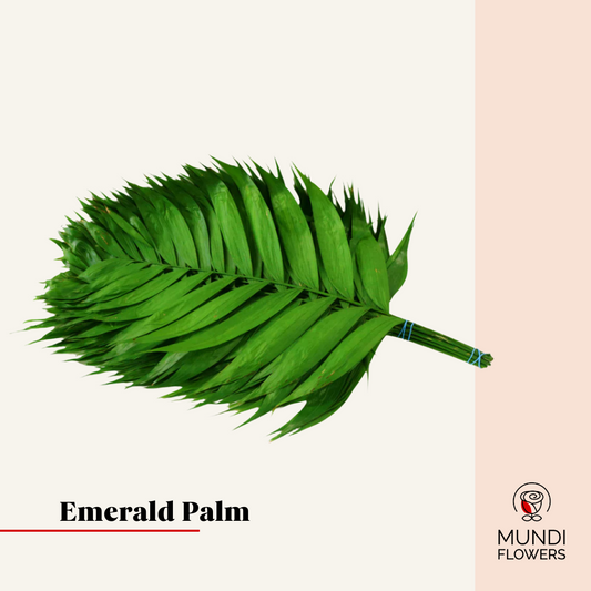 Emerald Palm Large