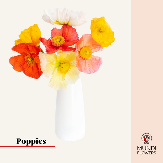 Poppies