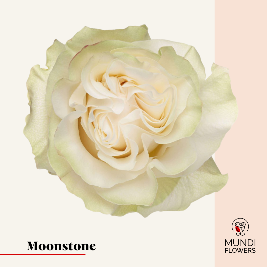 Moonstone