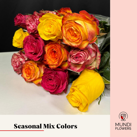 Seasonal Mix Colors Roses