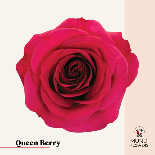 Queen Berry