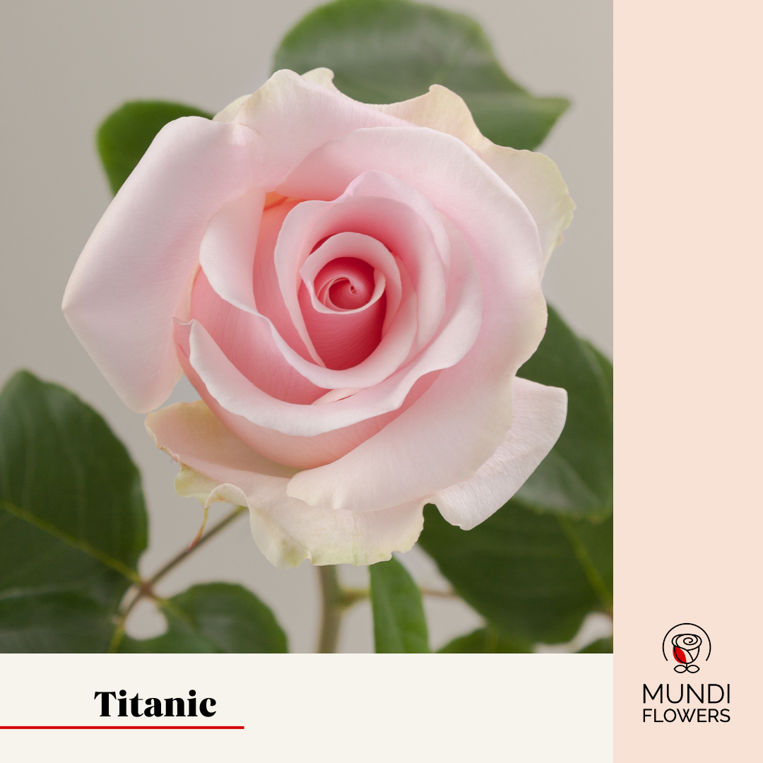Titanic