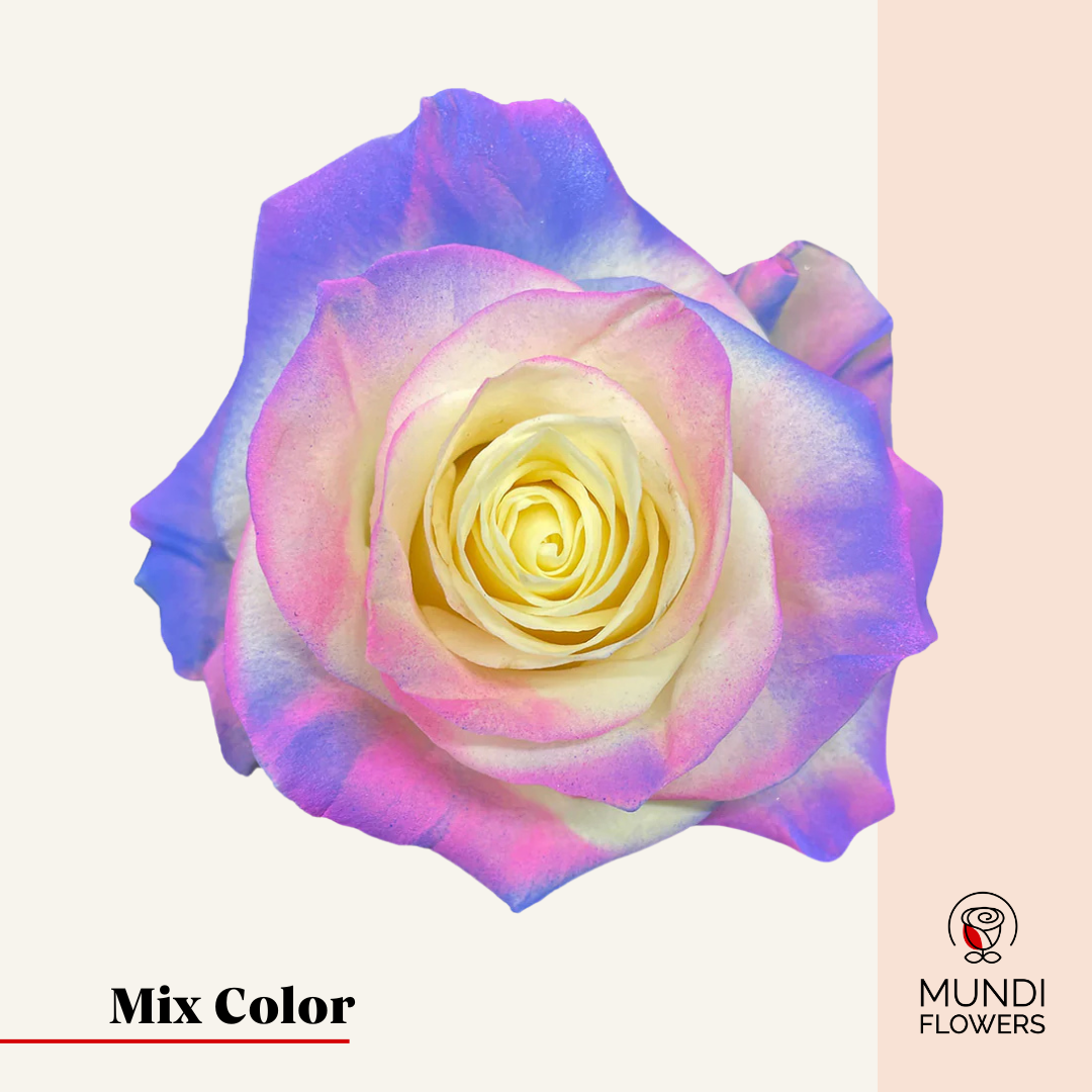 Tinted Roses