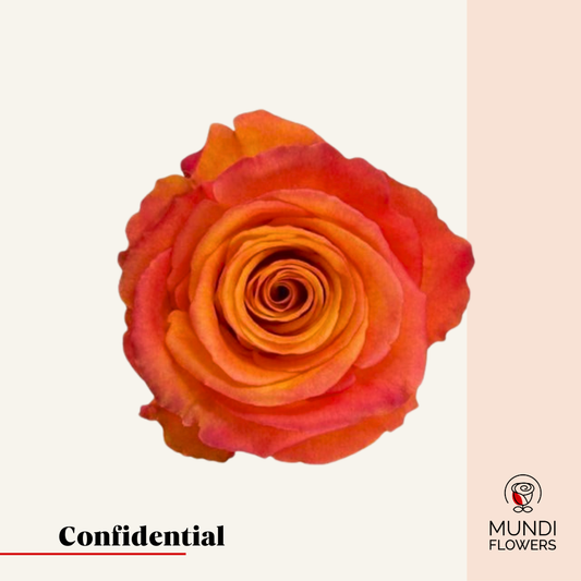 Confidential