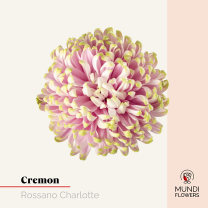 Cremon