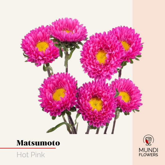 Matsumoto
