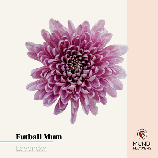 Futball Mum