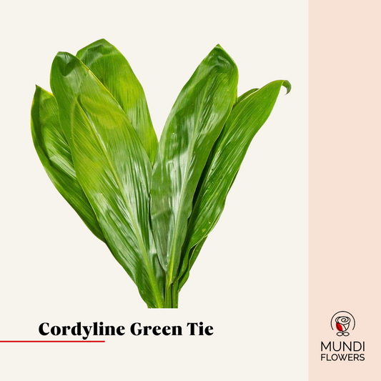 Green Tie Medium