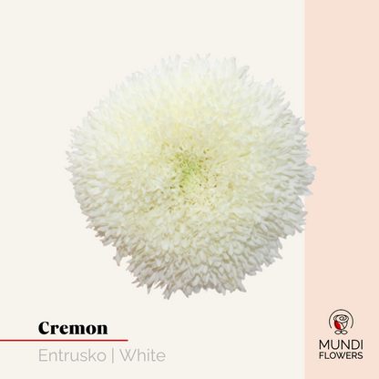 Cremon