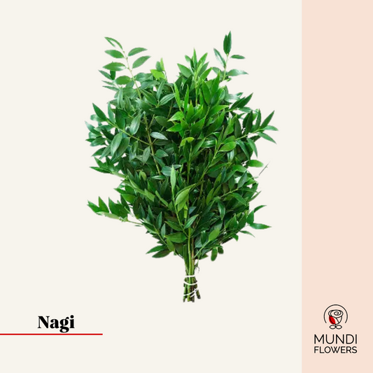 Nagi