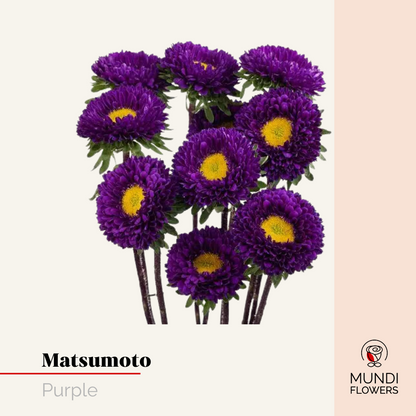 Matsumoto