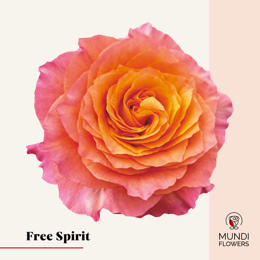Free Spirit