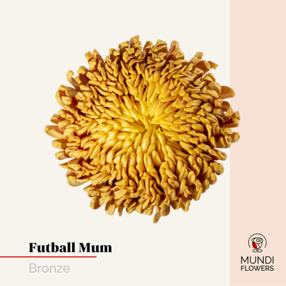 Futball Mum