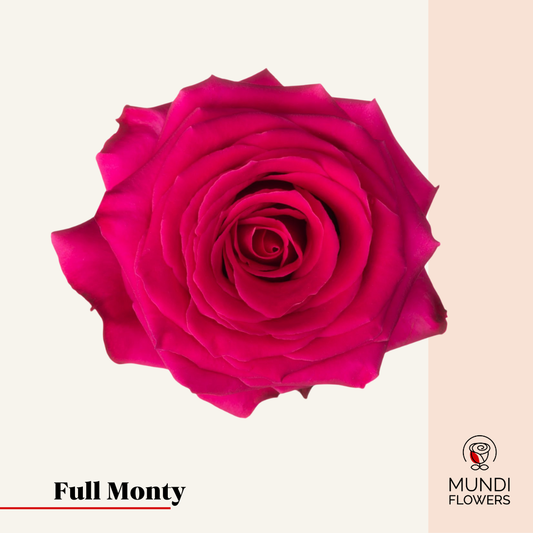 Full Monty