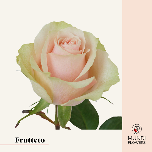 Frutteto
