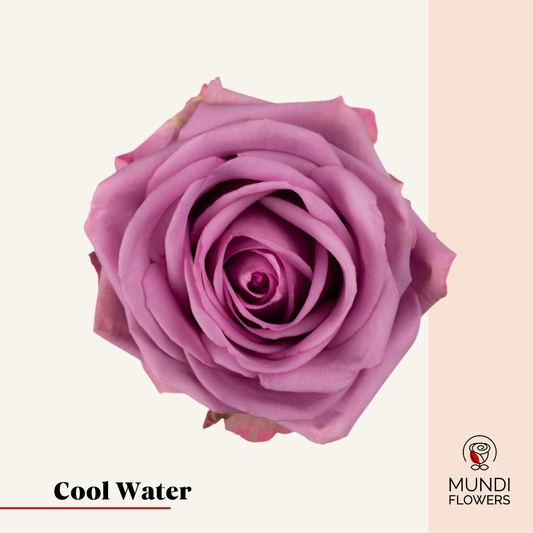 Cool Water