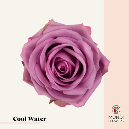 Cool Water