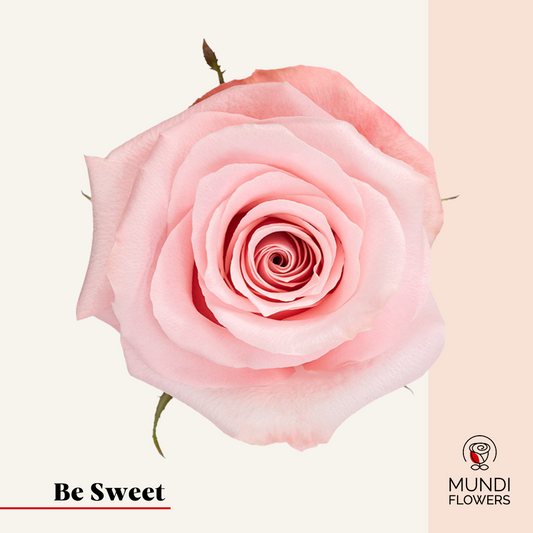 Be Sweet