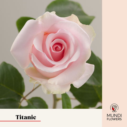 Titanic
