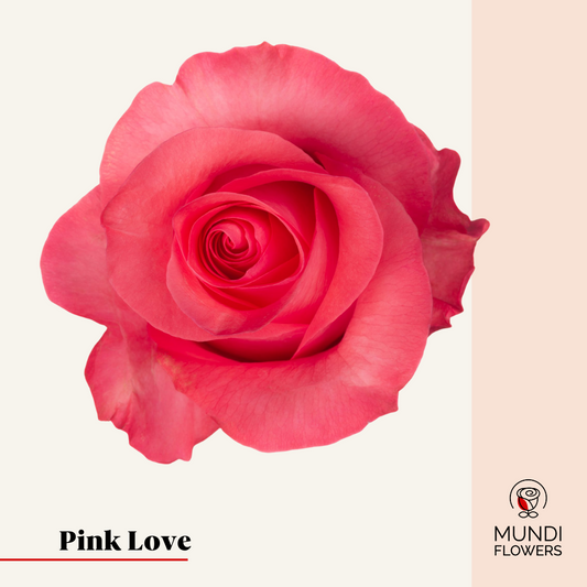Pink Love