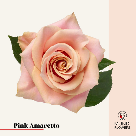 Pink Amaretto