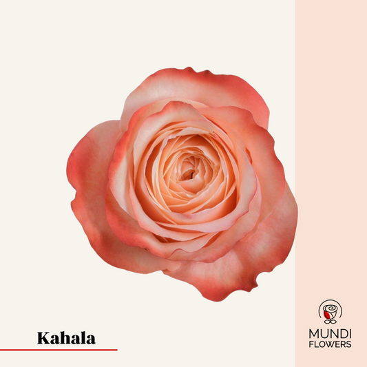 Kahala