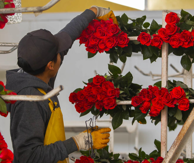 Valentine_s_Pre-Order