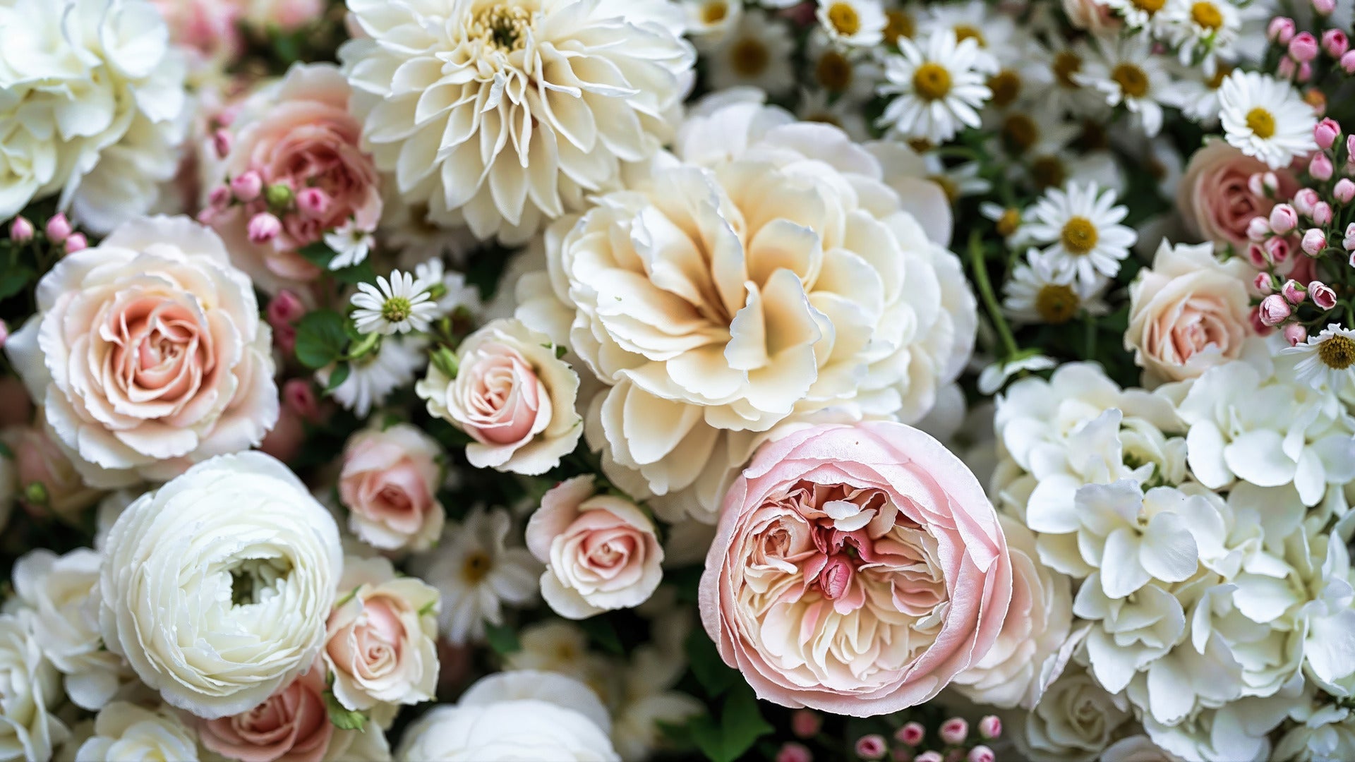 Wedding Collection