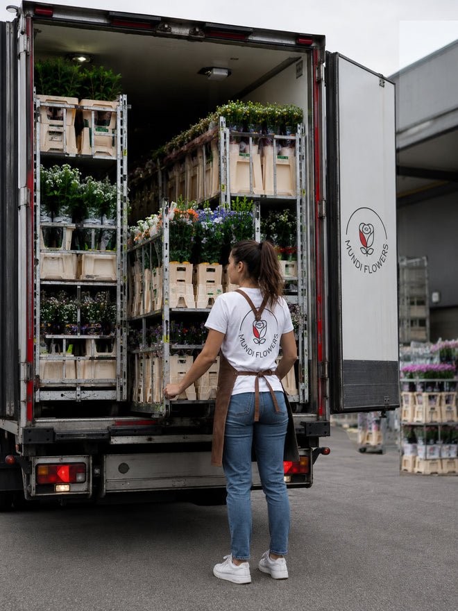 mundiflowers-wholesale
