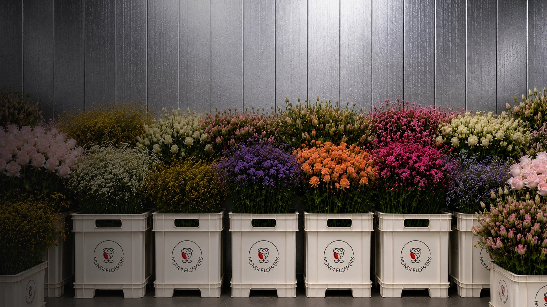 wholesale-flowers-tucson