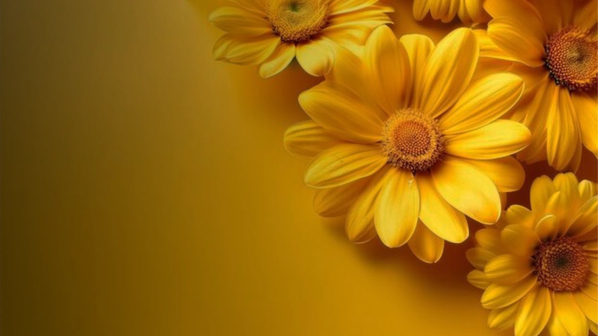 yellow-flowers-mundiflowers